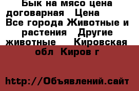 Бык на мясо цена договарная › Цена ­ 300 - Все города Животные и растения » Другие животные   . Кировская обл.,Киров г.